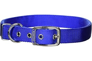 Hamilton DD 28BL Double Thick Nylon Deluxe Dog Collar, 1-Inch by 28-Inch, Blue