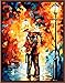 ShuaXin Diy Oil Painting Paint by Number Kits Romantic Night Cool Night Warm Heart 1620inch with DIY wood Frame