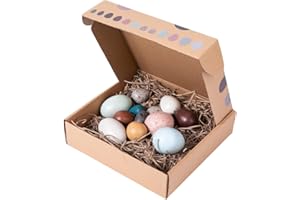 evhooe 12 Artificial Bird Eggs Portable Wood Simulation Eggs DIY Easter Eggs for Home and Party Decor Artificial Bird Eggs (1