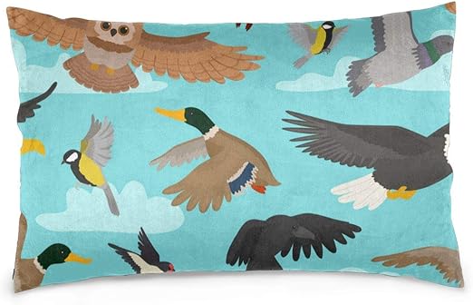 Amazon Com Katern Bird Cartoon Flying Birdie Owl Dove And 10456