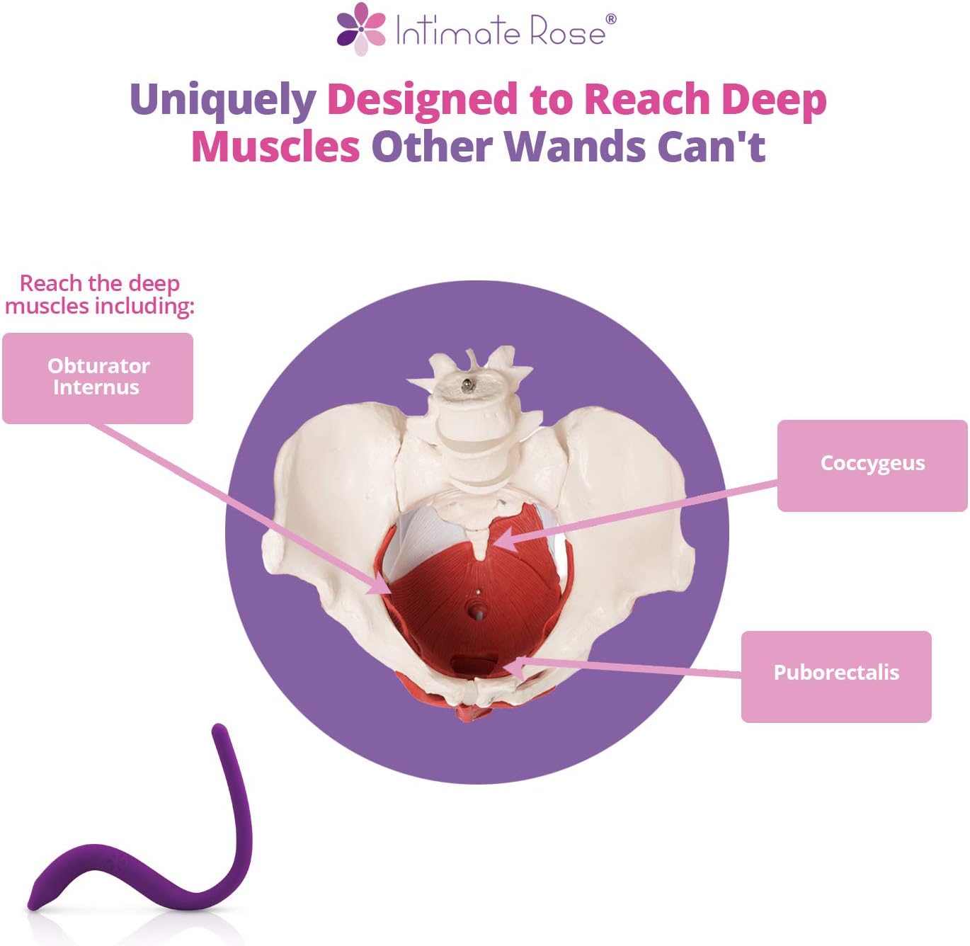 Intimate Rose Pelvic Wand Trigger Point & Tender Point Release for Pelvic Floor Muscles - Men & Women - Pelvic Physical Therapy Use: Health & Personal Care