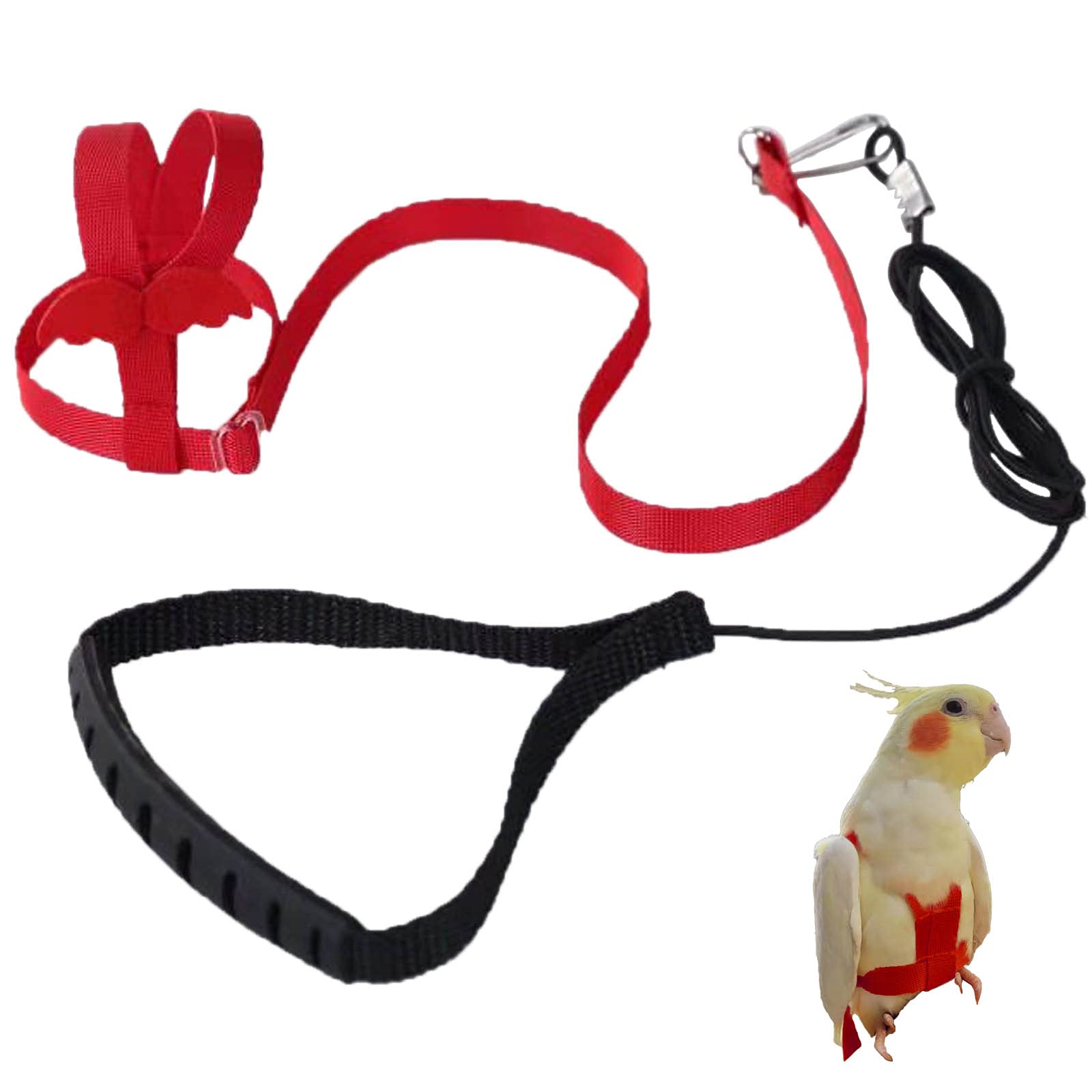Parrot Harness Adjustable Pet Bird Harness Leash Outdoor Flying Trainning Rope Leash Anti- Bite Elastic Strap for Bird Parrot Cockatoos Macaws (Red, S)