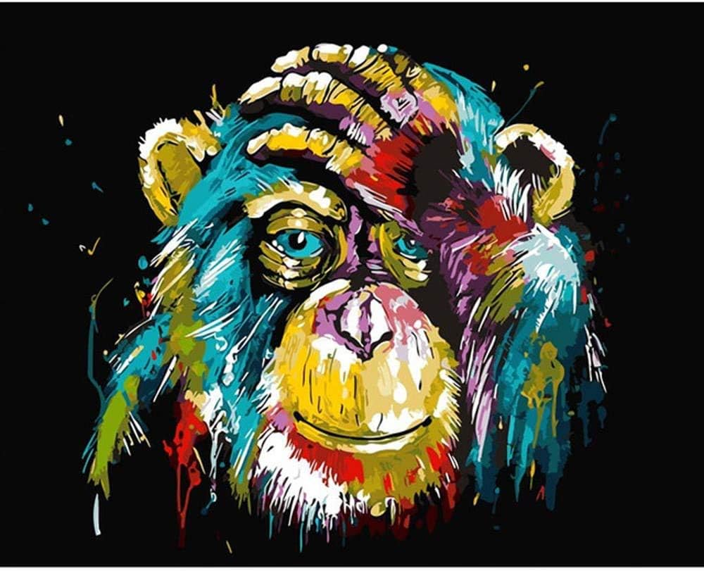 DIYASY Paint by Numbers Kits,DIY Oil Painting Kit Colorful Monkey for Adults Kids Beginner ,Home Decoration without Wooden Frames (16x20in)