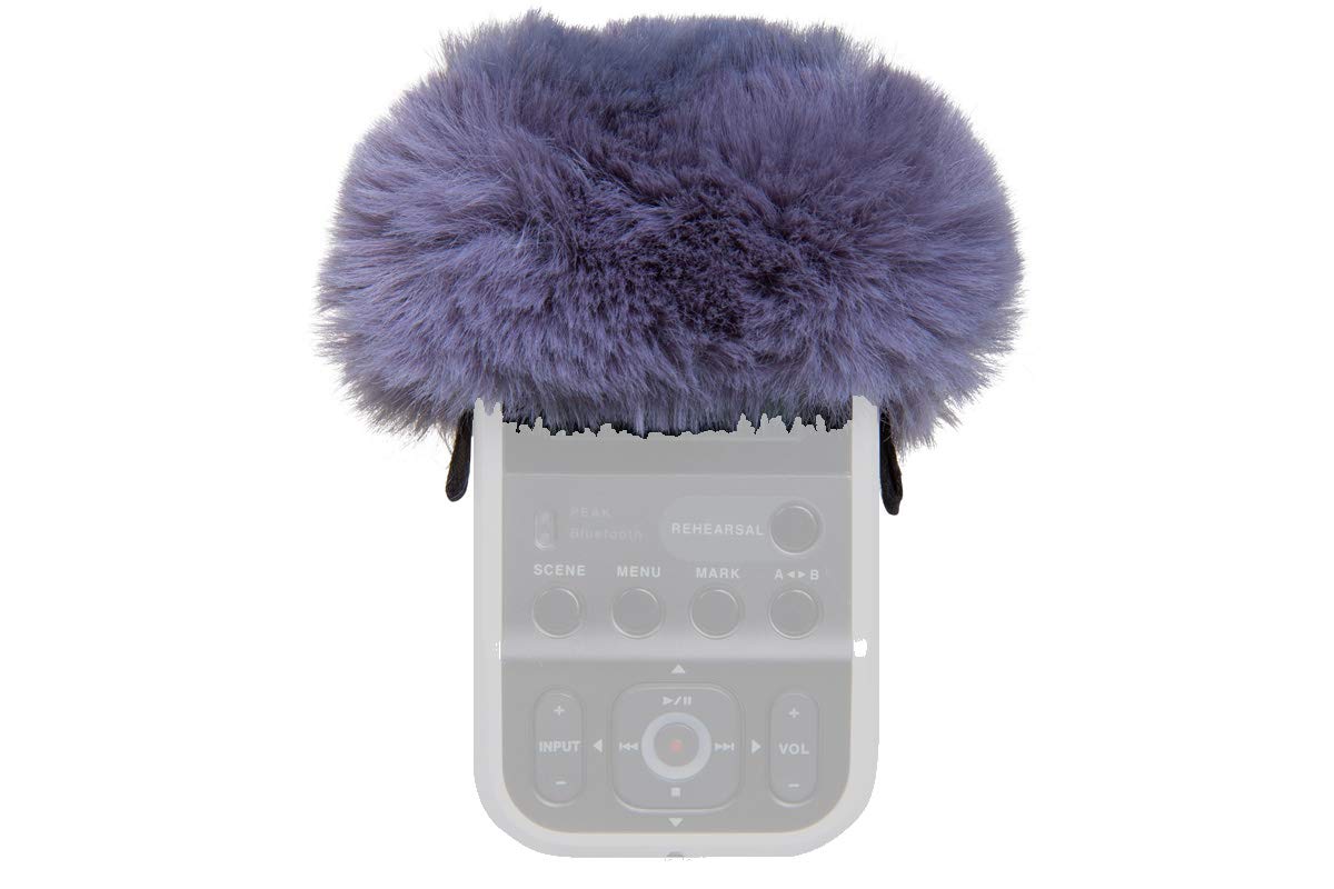 Roland R07-WS Windscreen for R-07