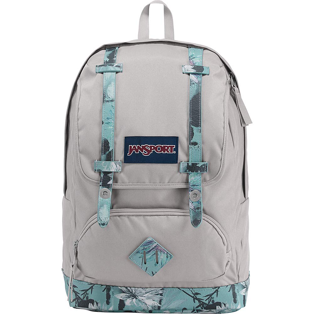 jansport cortlandt