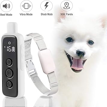 shock collar for pomeranian