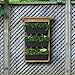Algreen 34002 Garden View, Vertical Living Wall Planter (Renewed)thumb 1
