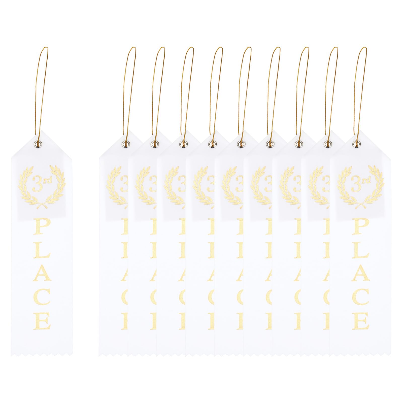 PATIKIL Award Ribbons, 10 Pcs 3rd Winner Ribbons with Even Card and Rope Achievement Ribbons for Competition Sport Even, White