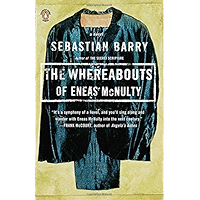 The Whereabouts of Eneas McNulty book cover