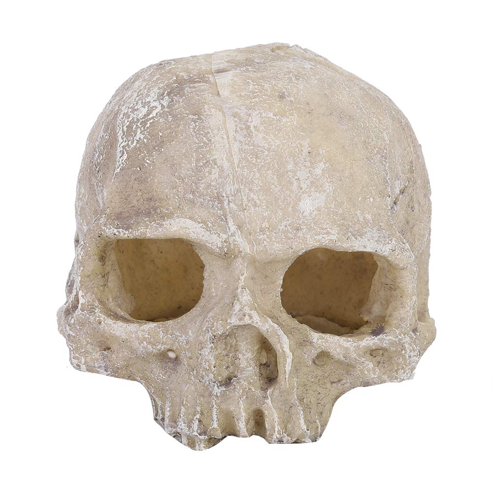 Skull Statue,Aquarium Landscaping Skull,Reptile Landscaping Skeleton,Reptile Landscaping Cave for Lizard Snake Spider Scorpion