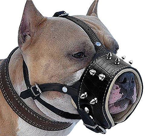 Pet artist -gentle genuine leather padded dog muzzle - spikes stu…