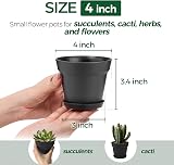 T4U 10cm Plastic Plant Pots 6-Pack with Saucers—Drainage Hole Indoor Outdoor view 2