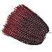 Refined Hair passion twist hair 12inch 6packs/lot Ombre Malibob Jerry Curly Twist Hair 22 Strands Synthetic Crochet Braids Freetress Braiding Hair Extensions (12 inch, TBUG)