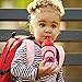 Skip Hop Toddler Sippy Cup with Straw, Zoo Straw Bottle, Ladybug