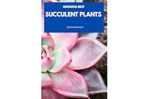 GROWING BEST SUCCULENT PLANTS