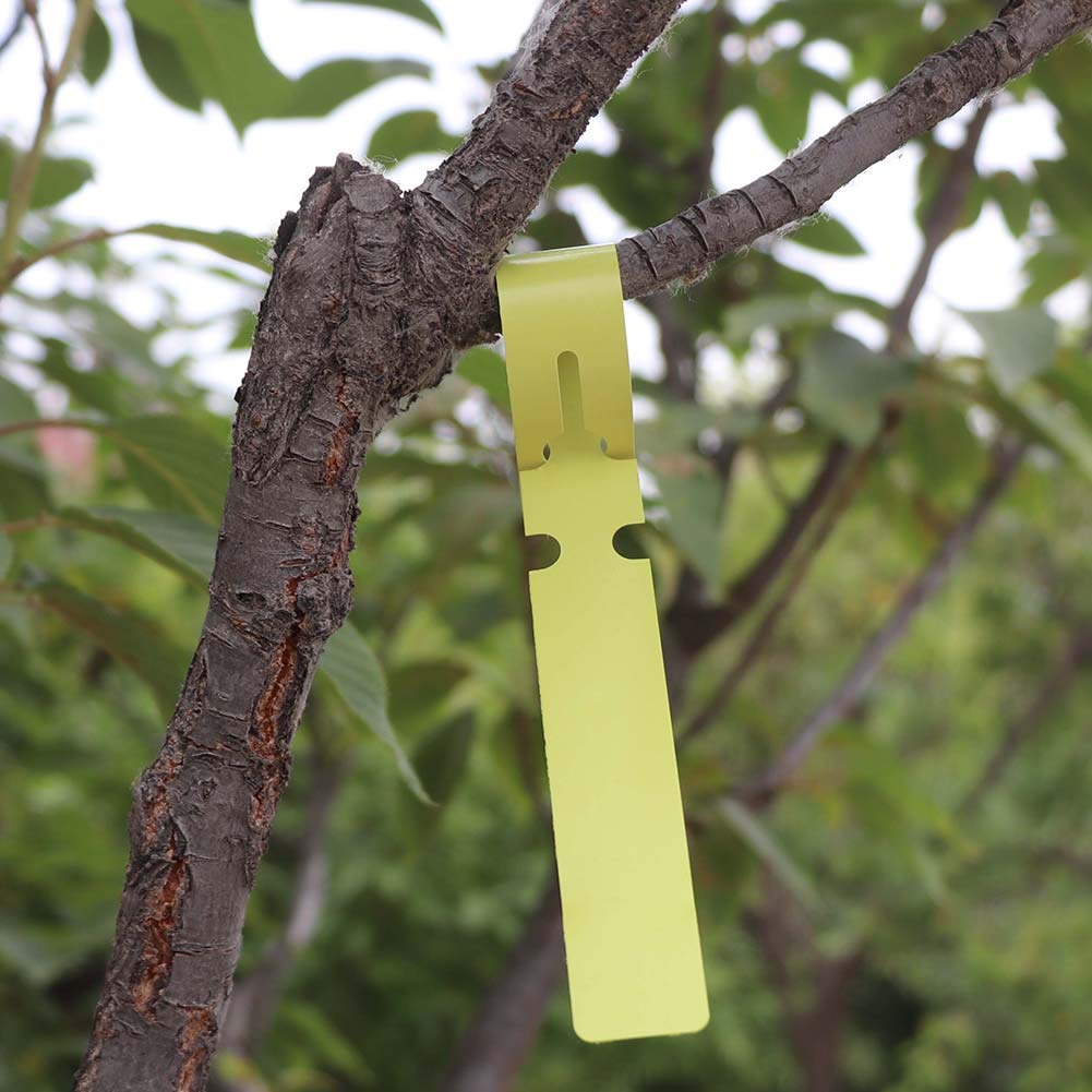MACGOAL 500pcs Wrap Around Plant Tags Plastic Plant Tree Tags Bulk Nursery Garden Labels Plant