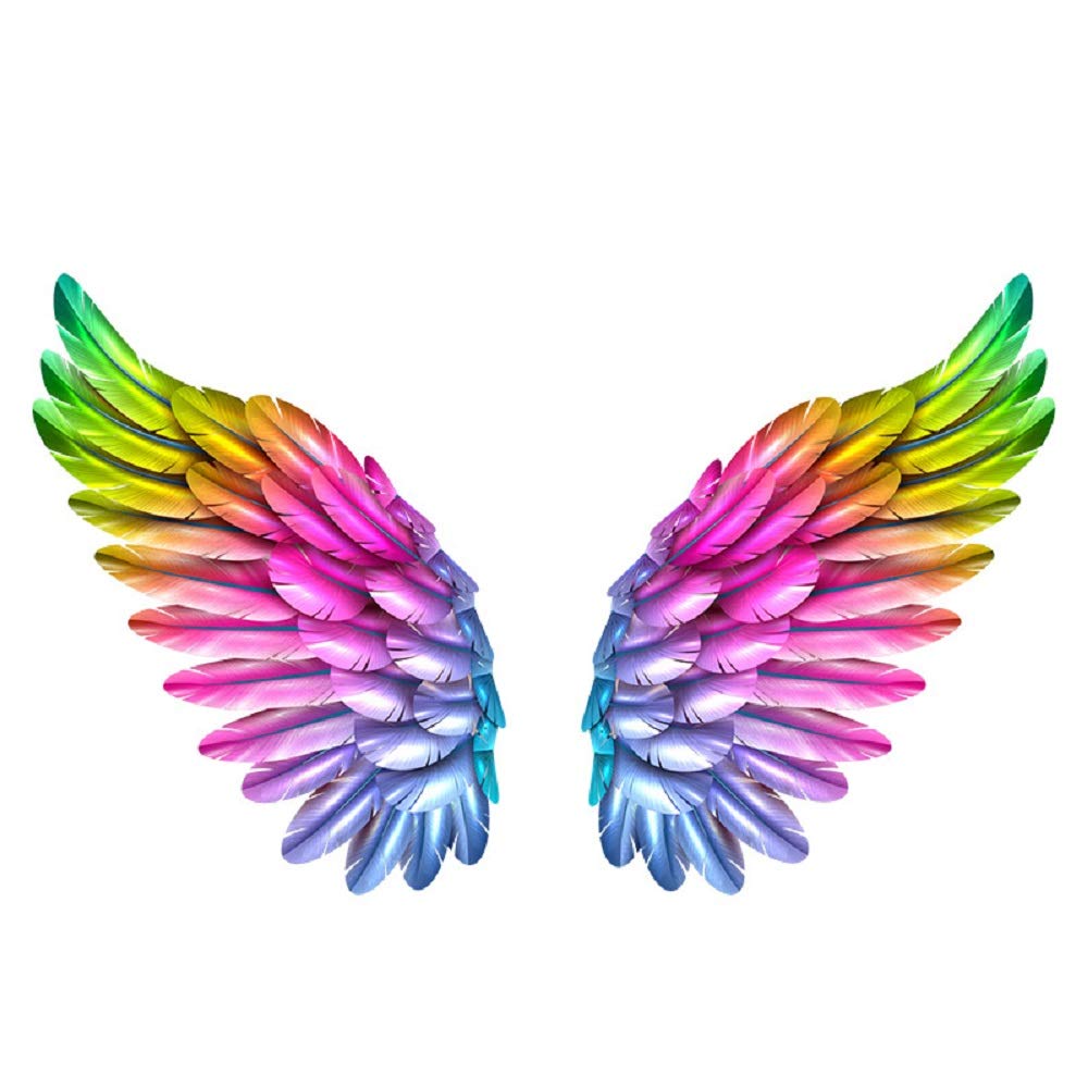 Amaonm Removable 3D Colorful Wings Wall Stickers DIY PVC Home Wall Decor Beautiful Rainbow Feather Peel and Stick Wall Decals Wallpaper for Living Room Kids Bedroom Girls Nursery Art Rooms Bathroom