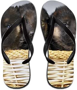 shepherd flip flop