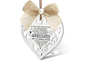 FOKCBOCM You are Incredibly Important Appreciated Plaque Sign For Women, Thank you Appreciation Gifts for Mentor Teacher Nurse, Going Away Gift Retirement Gift for Coworkers Boss Friend-AXGP79