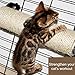IXI Cat Scratching Post - The Cat Scratching Pole Designed for Cage Cat Scratcher Made by Sisal Cat Cage Scratching Post Cat Furniture (2.7 x 15.7 inch)