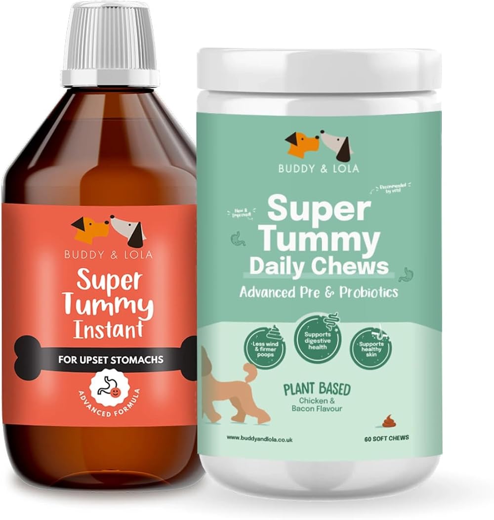 Buddy & Lola Digestion Bundle Fast-Acting Dog Diarrhea Treatment 20 Servings