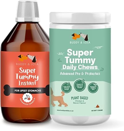 Buddy & Lola Digestion Bundle Fast-Acting Dog Diarrhea Treatment 20 Servings