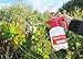TABOR TOOLS 0.3 Gal Pump Pressure Sprayer, One-Hand Garden Sprayer & Mister. N-10. (0.3 Gallon)
