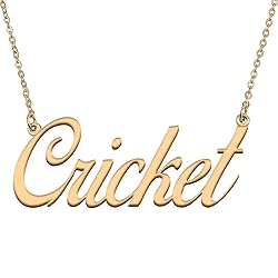 HUAN XUN Customized Custom Simple Any Name Necklace