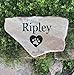 Accent Direct Personalized Pet Memorial Stone | Custom Engraved Natural Stone | Grave Marker, Garden Stone, Desk or Shelf, Indoor or Outdoor | Color – Buckskin.