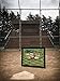 Yeegfey Junkies Sports Maps Scratch-Off Baseball Map - Bucket List Tracking Poster, Man-Cave Decor, Bedroom Poster - 32 Stadiums, 32 Teams in The USA - Great Valentine and Birthday Gift Idea - 18”x24”…