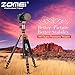 ZOMEI Light Weight Portable Carbon Fiber Travel Complete Tripod Come with Ball Head Carry Case for Digital/Camcorder/DSLR/SLR/Video Camera, Orange