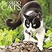 Just Tuxedo Cats 2017 Wall Calendar