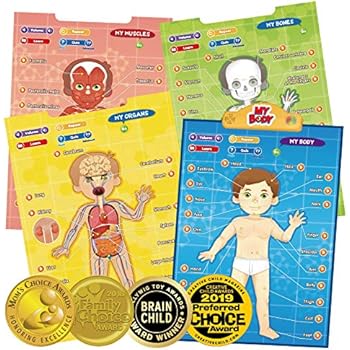 Amazon Popar Kid S World Map Interactive Wall Chart Amazon Popar Kid S World Map Interactive Wall Chart