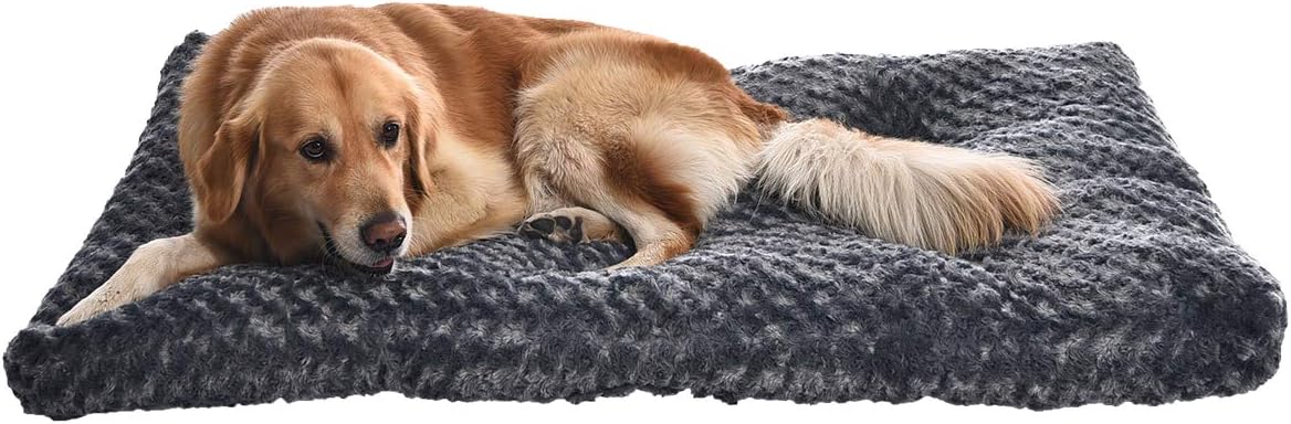 Basics Pet Dog Bed Pad, 46 x 29 x 4 Inch, Grey Swirl : Pet Supplies