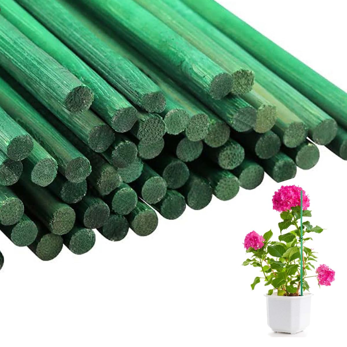 Almineez 50Pcs Green Plant Support Sticks 60cm / 24 inch Bamboo Plant Stakes Split Canes, Floral Sticks Garden Flower Sticks for Orchid Pea Vegetables Support Floral Plant Stakes