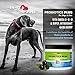 In-It Pets All Natural Probiotics for Dogs and Cats by Top Quality Dog Probiotics to Relieve Allergies, Constipation, Bad Breath, Gas, and Diarrhea, 2 Billion CFU per Scoop, 5 oz Container