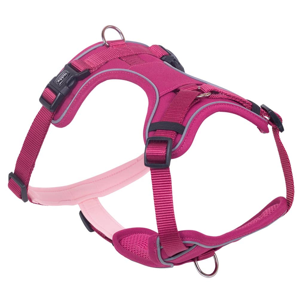 Nobby Comfort Harness Mailo Raspberry XS: Chest: 20-30 cm, Belly: 35-45 cm, W: 15 mm, Pack of 1