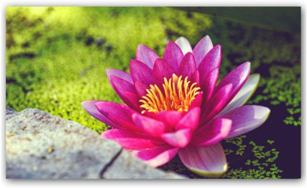 Suuyar Imagen de Arte de Pared de póster con Impresiones de Flores