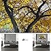 Visual Art Decor 4 Pieces Black White Red Tree Canvas Art Autumn Fall Nature Scenery Picture Prints Framed and Streteched Gallery Decor Artwork for Living Room Bedroom Home Office (Yellow)