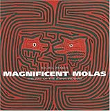 Magnificent Molas: The Art of the Kuna Indians