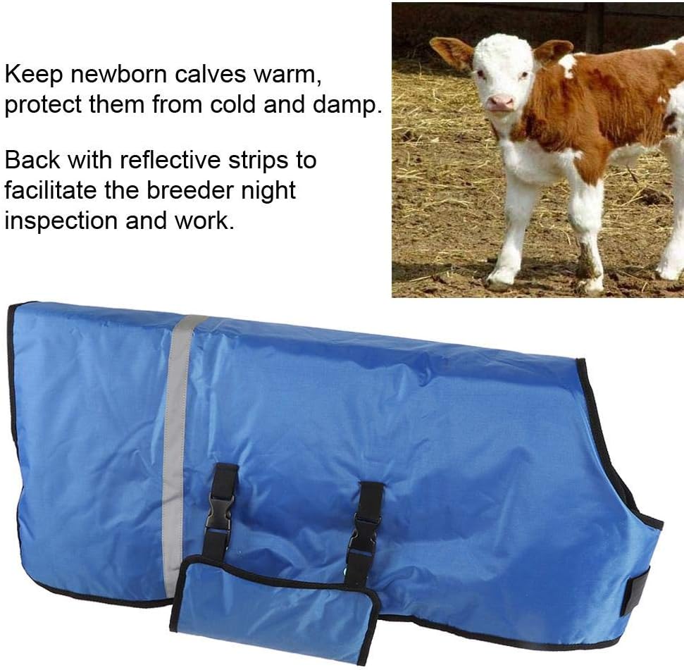 Calf Blanket - Image 3