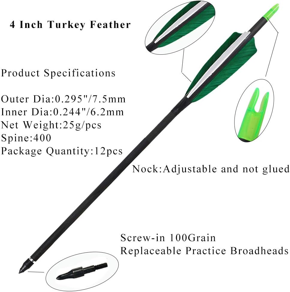 Huntingdoor Pure Carbon Arrows 31inch 400spine Archery Arrows Feather Fletching Screw-in Field Points Targeting Arrows for Compound Bow Recurve Bow 6/12 Pack : Sports & Outdoors