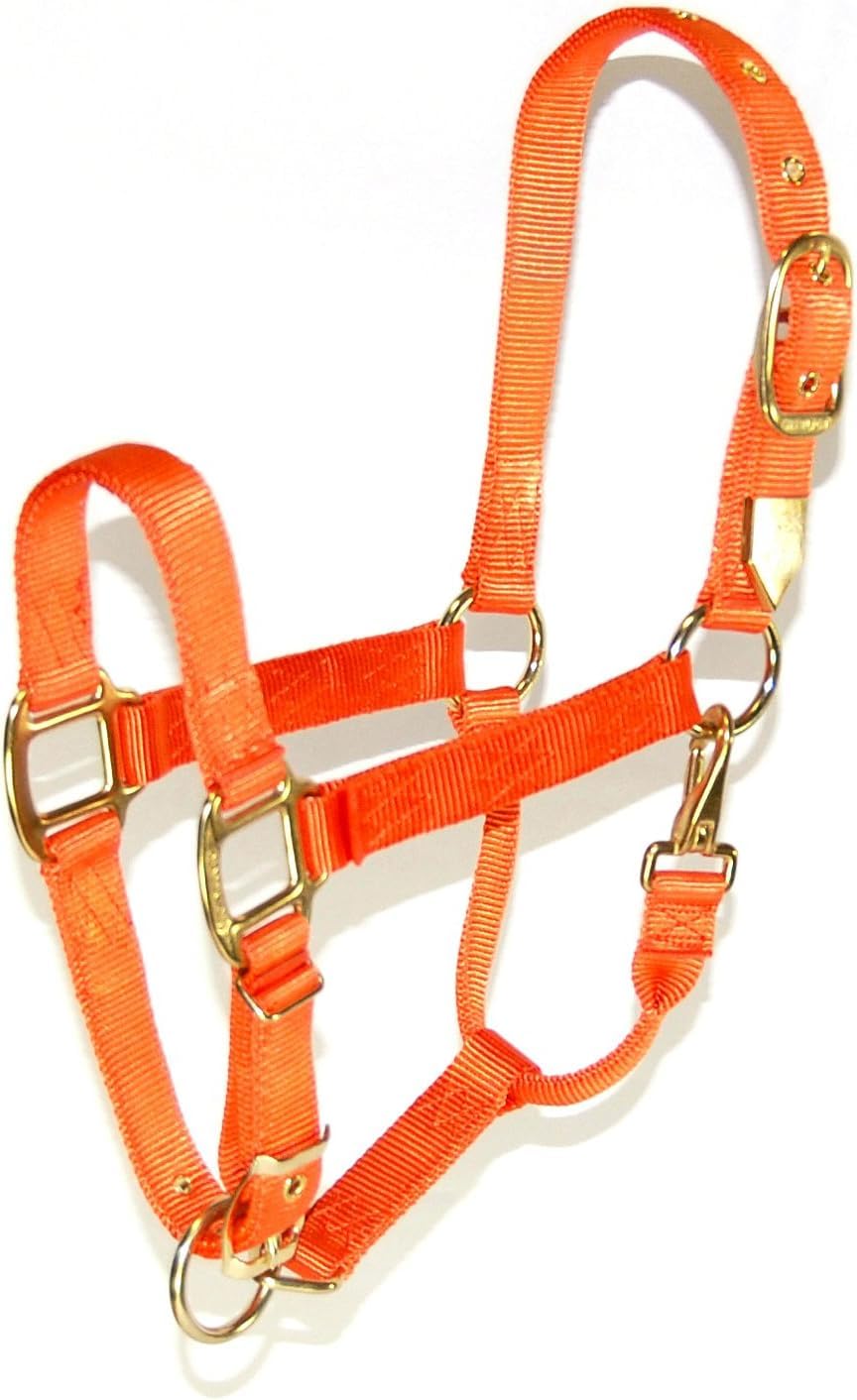 Photo 1 of Hamilton Deluxe Horse Halter, 1" Triple Ply Nylon, Adjustable Chin Strap, Easy On/Off Throat Snap, Average Horse, Arabian, or Yearling Draft, 800-1100 lbs, Mango Orange