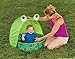 Pop-Up Frog Travel Pool