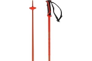 Salomon Arctic Unisex Poles Ski Hiking
