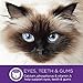 Wellness Complete Health Natural Dry Indoor Cat Food, Chicken, 11.5-Pound Bag