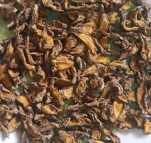 FINFASTFreshly Dried Turmeric Curcumin