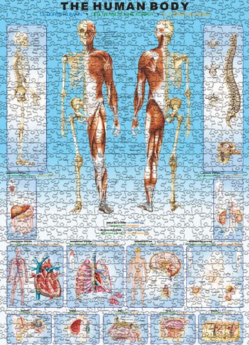 EuroGraphics Human Body Puzzle (1000-Piece)