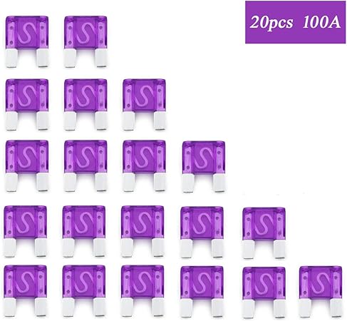 Amazon 個 車 Maxi 平型ヒューズ 大きいサイズ 100a 自動車のヒューズ切れの交換用 発電機 ウォータータンクファン スターター ヒューズ 車 バイク