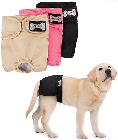 bossy kennels pitbulls